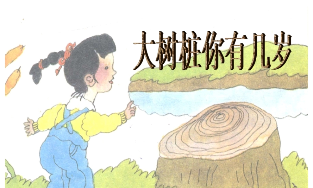 人教小学音乐三上《6大树桩你有几岁》PPT课件.ppt