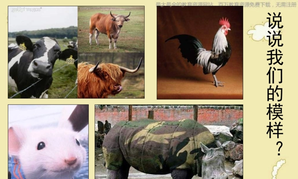 苏教小学美术三上《10动物明星二》PPT课件 (2) .ppt