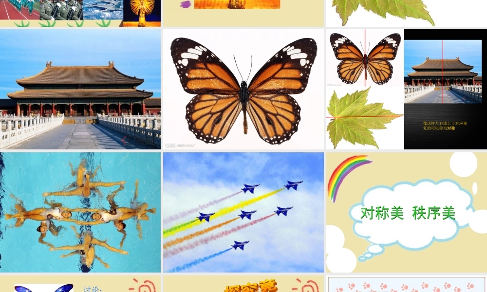 苏教小学美术三上《8对称美 秩序美》PPT课件.ppt
