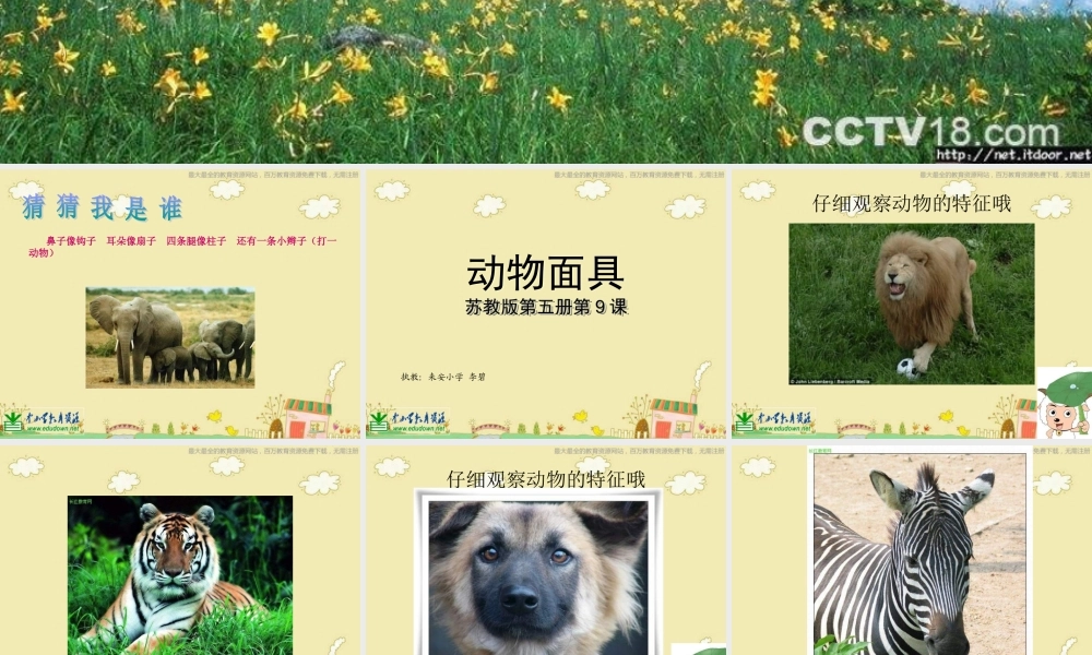 苏教小学美术三下《第16课动物面具》PPT课件 (2) .ppt