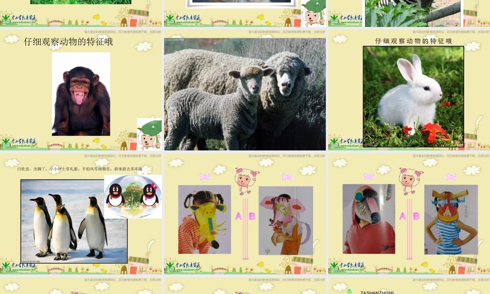 苏教小学美术三下《第16课动物面具》PPT课件 (2) .ppt