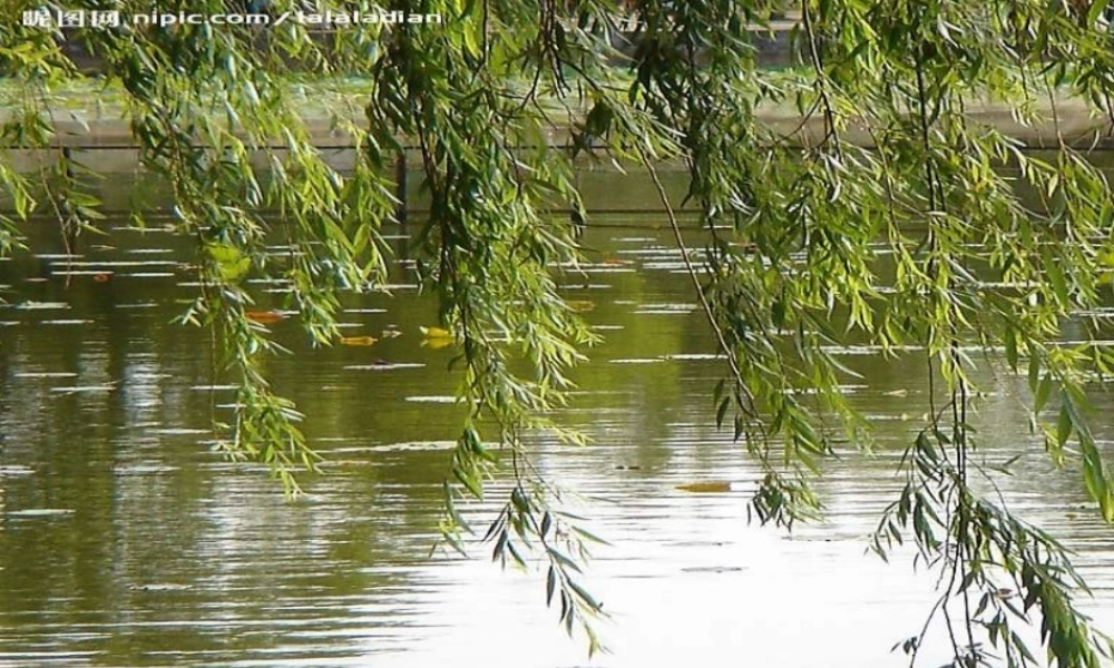 苏教小学美术二上《19想想说说写写画画》PPT课件 (1) .pptx