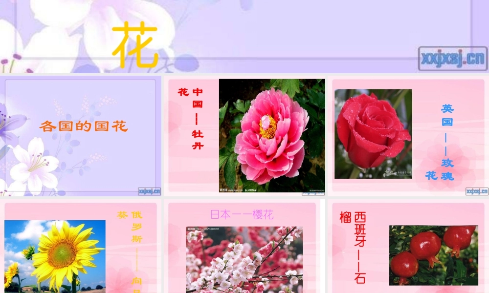 苏教小学美术二下《13会变的花树叶》PPT课件 (1).ppt