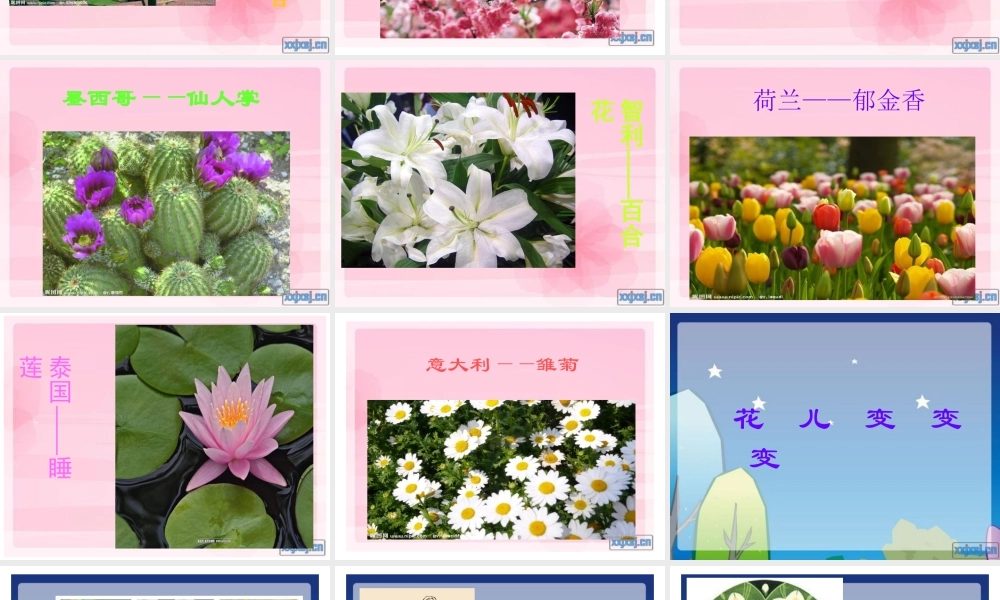 苏教小学美术二下《13会变的花树叶》PPT课件 (1).ppt