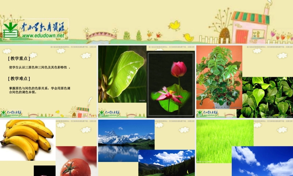 苏教小学美术二下《1三原色三间色》PPT课件 (1).ppt