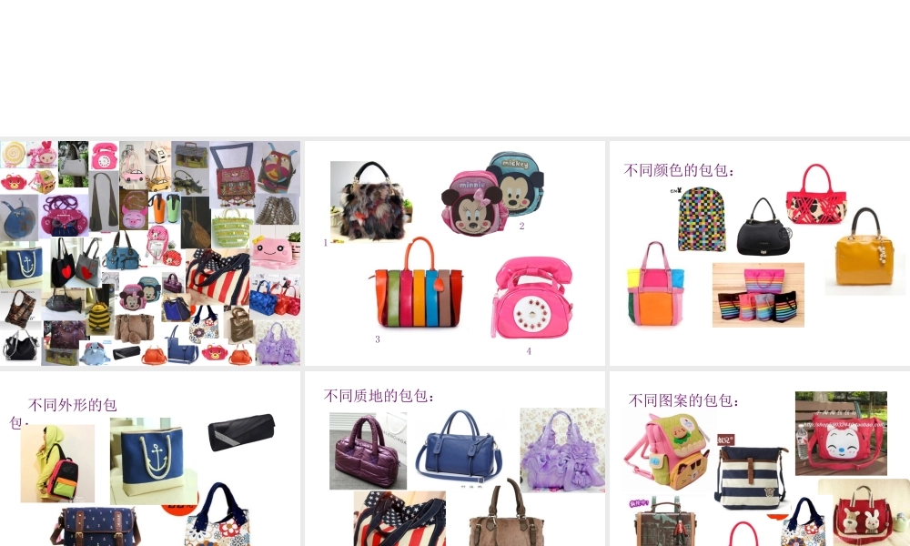 苏教小学美术五上《第12课包的世界二》PPT课件.ppt