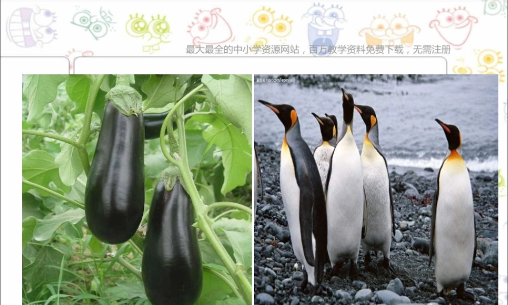 苏教小学美术六上《第16课奇思妙想》PPT课件 (1) .ppt