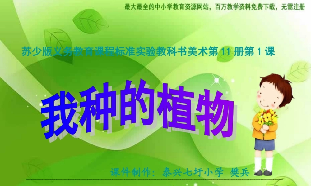 苏教小学美术六上《第1课我种的植物》PPT课件 (2) .ppt