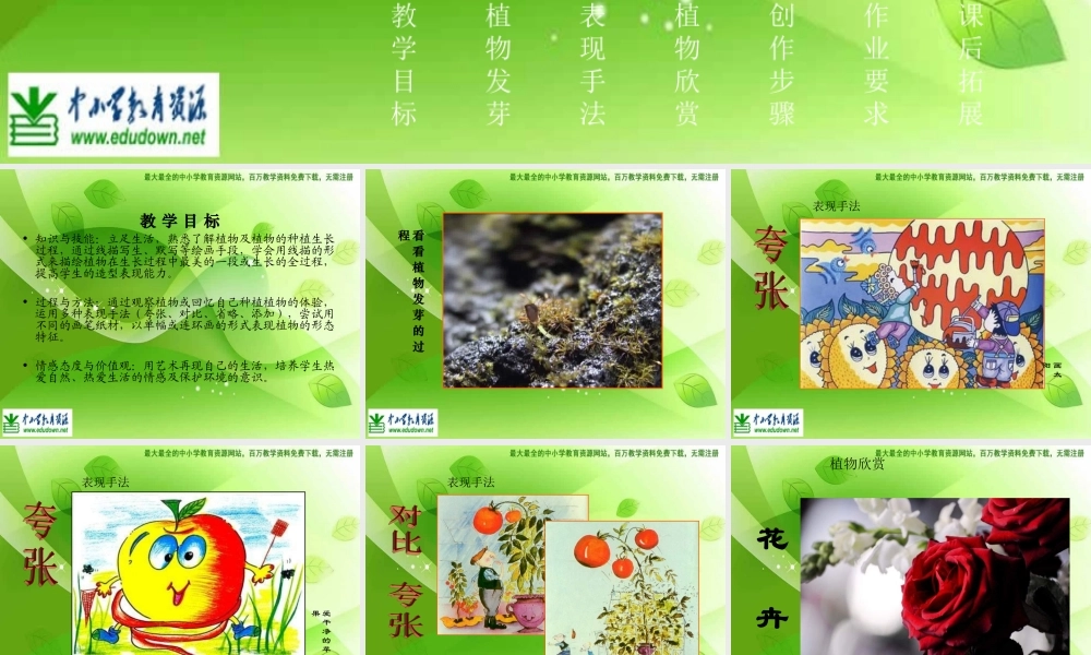 苏教小学美术六上《第1课我种的植物》PPT课件 (2) .ppt