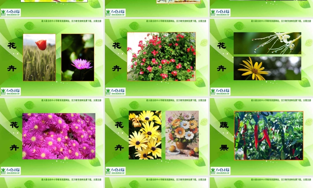 苏教小学美术六上《第1课我种的植物》PPT课件 (2) .ppt