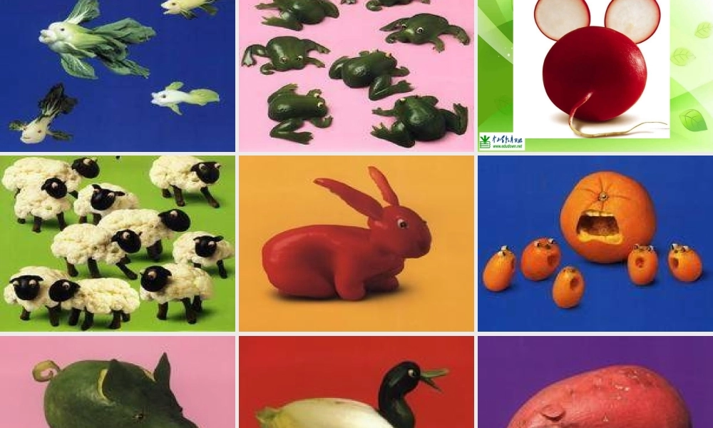 苏教小学美术六上《第5课蔬菜的联想》PPT课件 (2).ppt