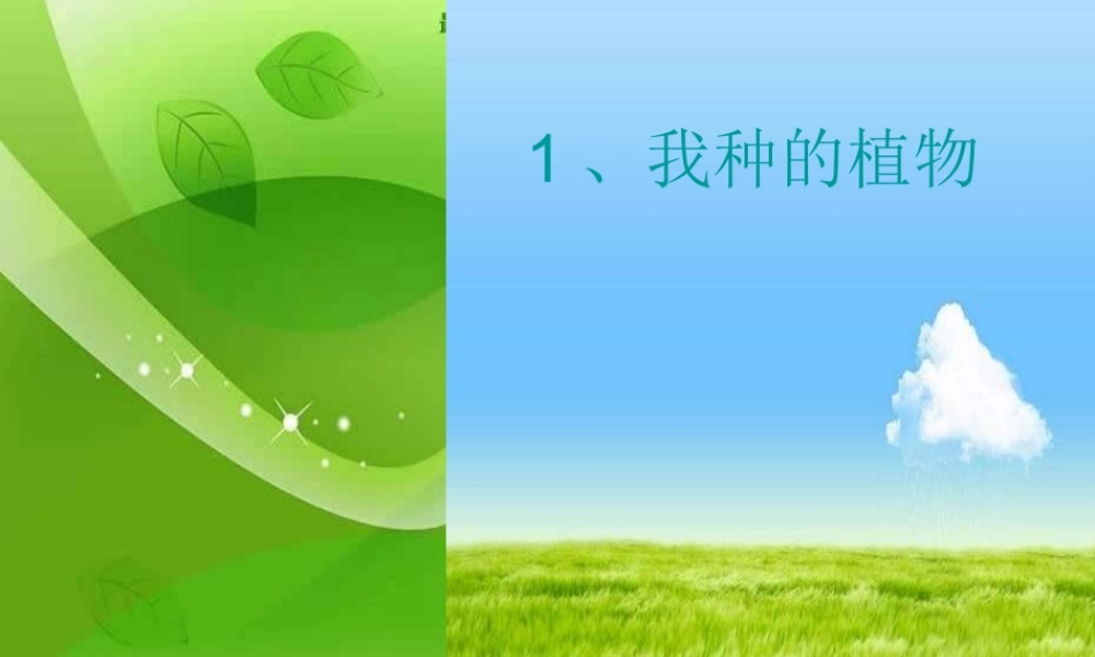 苏教小学美术六上《第1课我种的植物》PPT课件 (1) .ppt