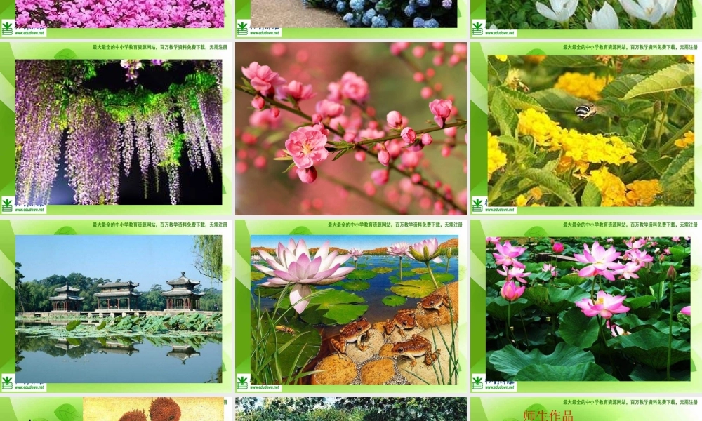 苏教小学美术六上《第1课我种的植物》PPT课件 (1) .ppt