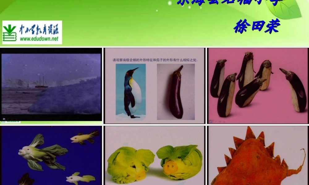 苏教小学美术六上《第5课蔬菜的联想》PPT课件 (1).ppt