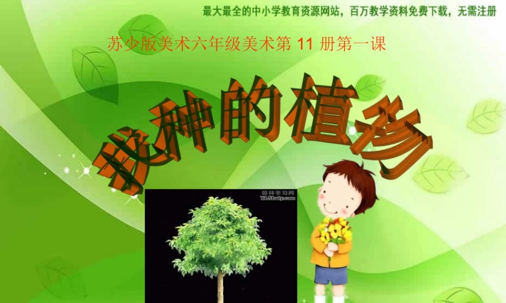苏教小学美术六上《第1课我种的植物》PPT课件 (3) .ppt
