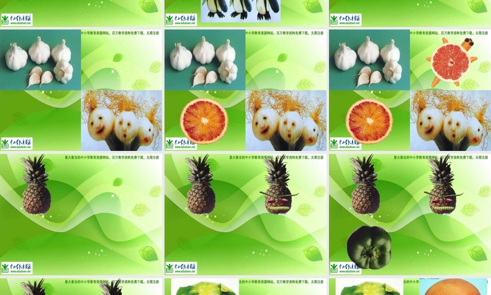 苏教小学美术六上《第5课蔬菜的联想》PPT课件 (5).ppt