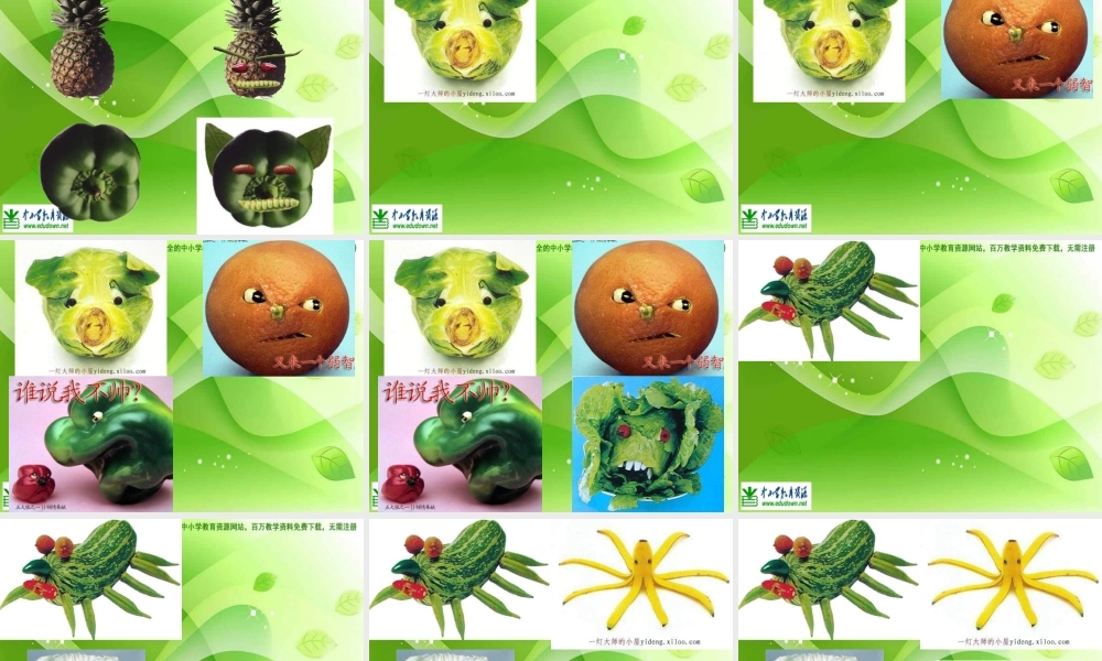 苏教小学美术六上《第5课蔬菜的联想》PPT课件 (5).ppt