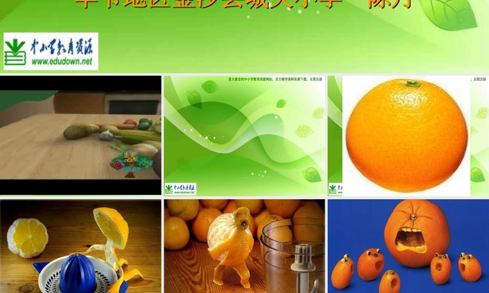 苏教小学美术六上《第5课蔬菜的联想》PPT课件 (4).ppt