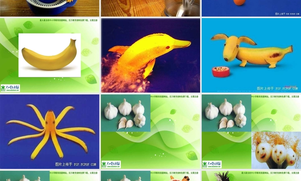 苏教小学美术六上《第5课蔬菜的联想》PPT课件 (4).ppt