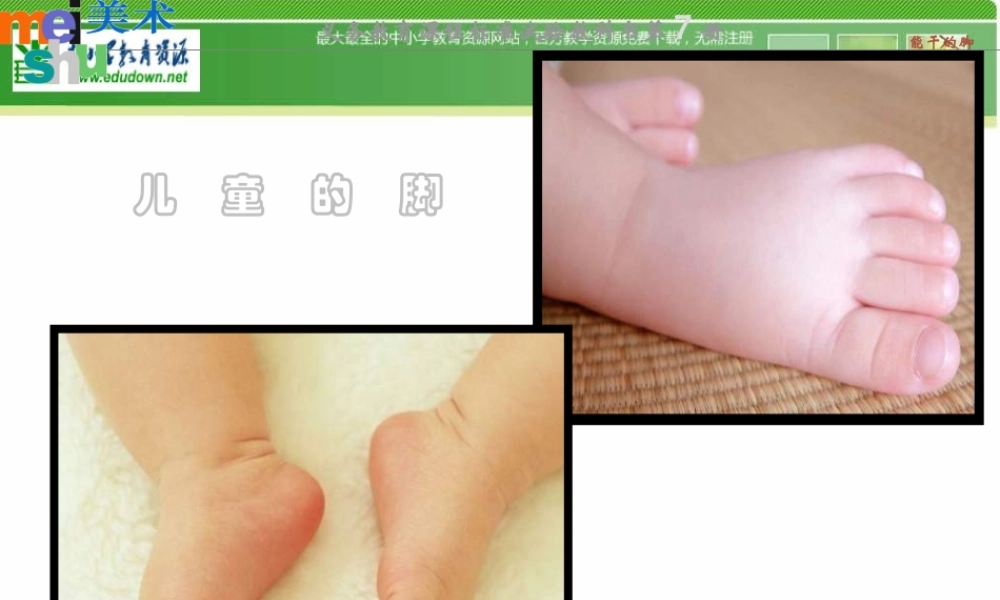 苏教小学美术六下《第3课能干的脚》PPT课件 (2) .ppt