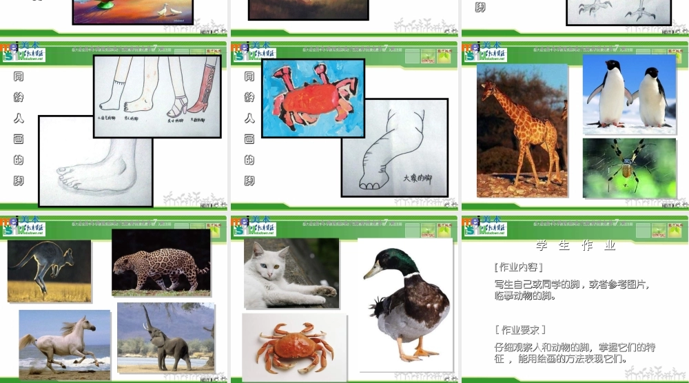 苏教小学美术六下《第3课能干的脚》PPT课件 (2) .ppt