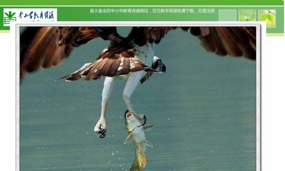 苏教小学美术六下《第3课能干的脚》PPT课件 (1) .ppt