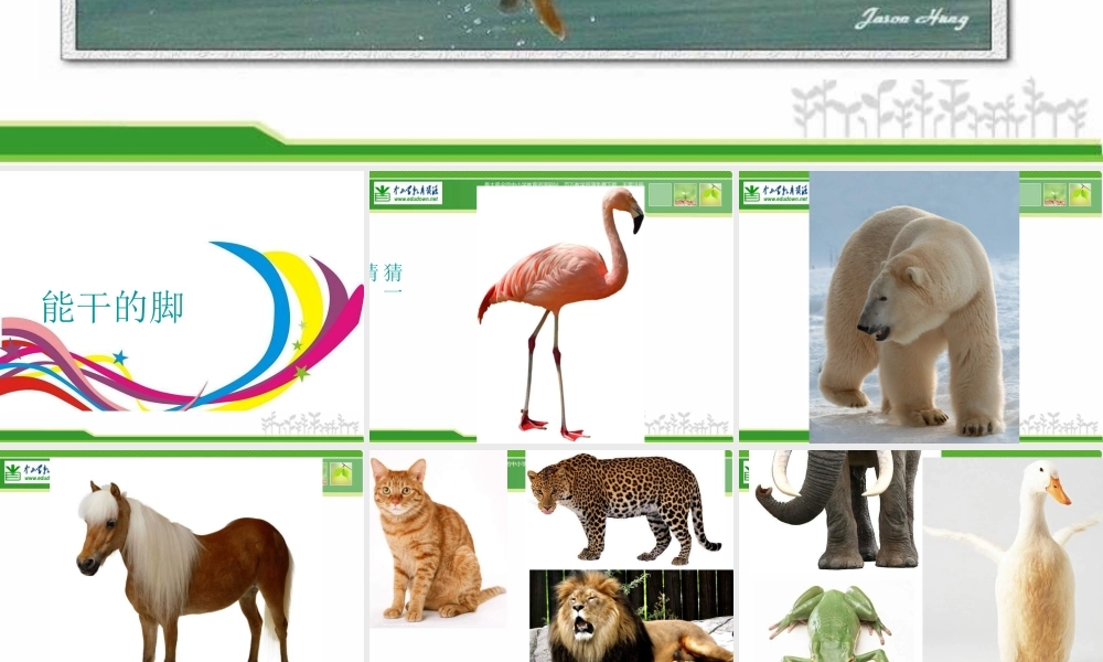 苏教小学美术六下《第3课能干的脚》PPT课件 (1) .ppt