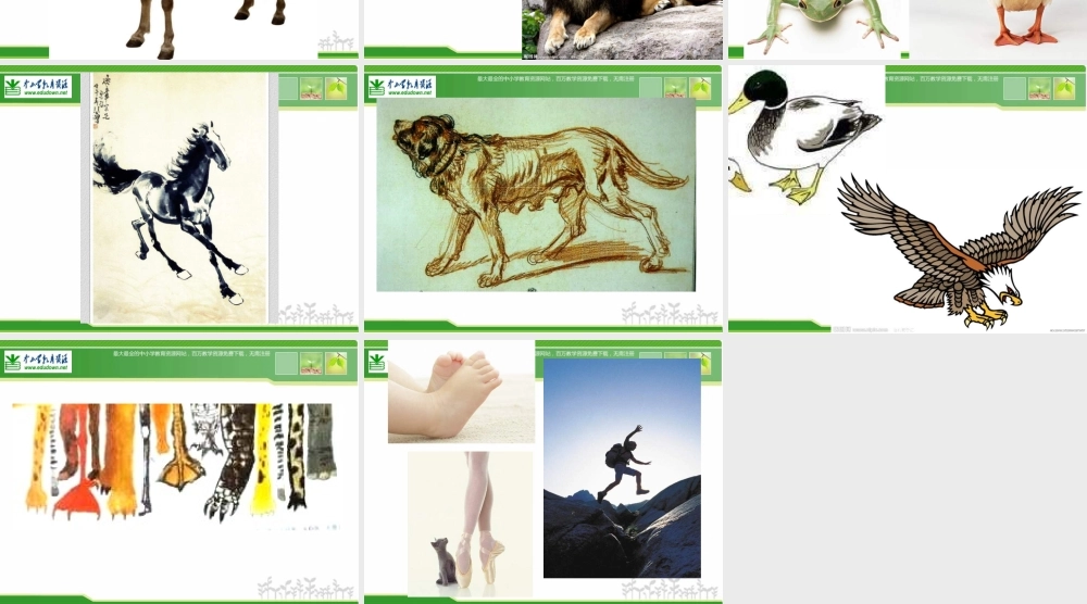 苏教小学美术六下《第3课能干的脚》PPT课件 (1) .ppt