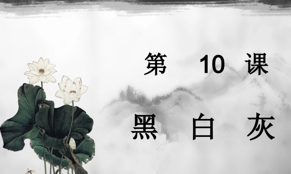 苏教小学美术四上《第10课黑白灰》PPT课件.ppt