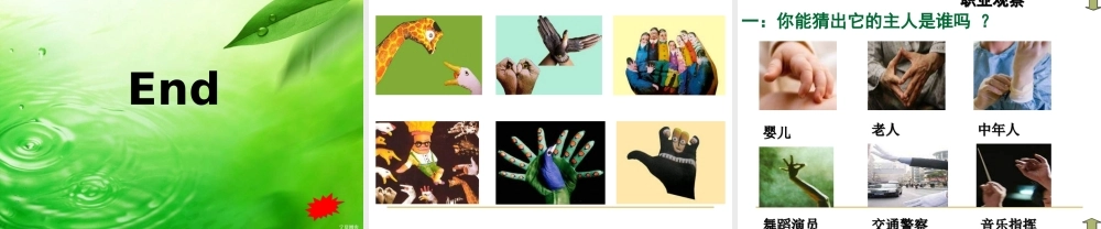 苏教小学美术四上《第17课会说话的手二》PPT课件 (1) .ppt