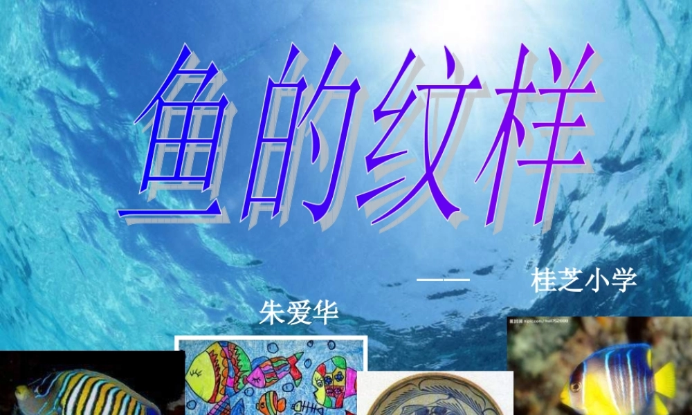 苏教小学美术四上《第9课鱼的纹样》PPT课件 (2) .ppt