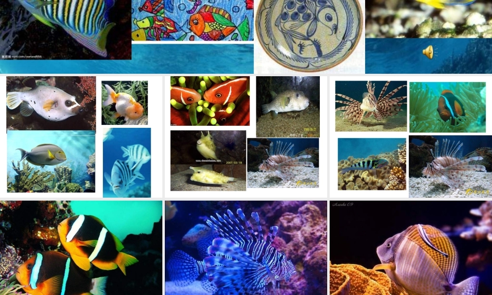 苏教小学美术四上《第9课鱼的纹样》PPT课件 (2) .ppt