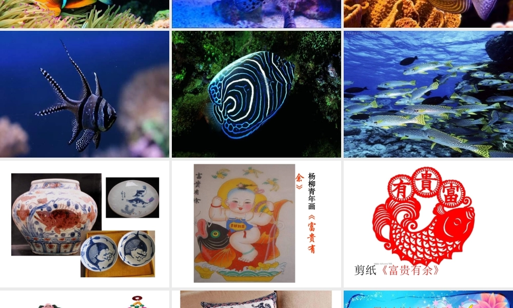 苏教小学美术四上《第9课鱼的纹样》PPT课件 (2) .ppt