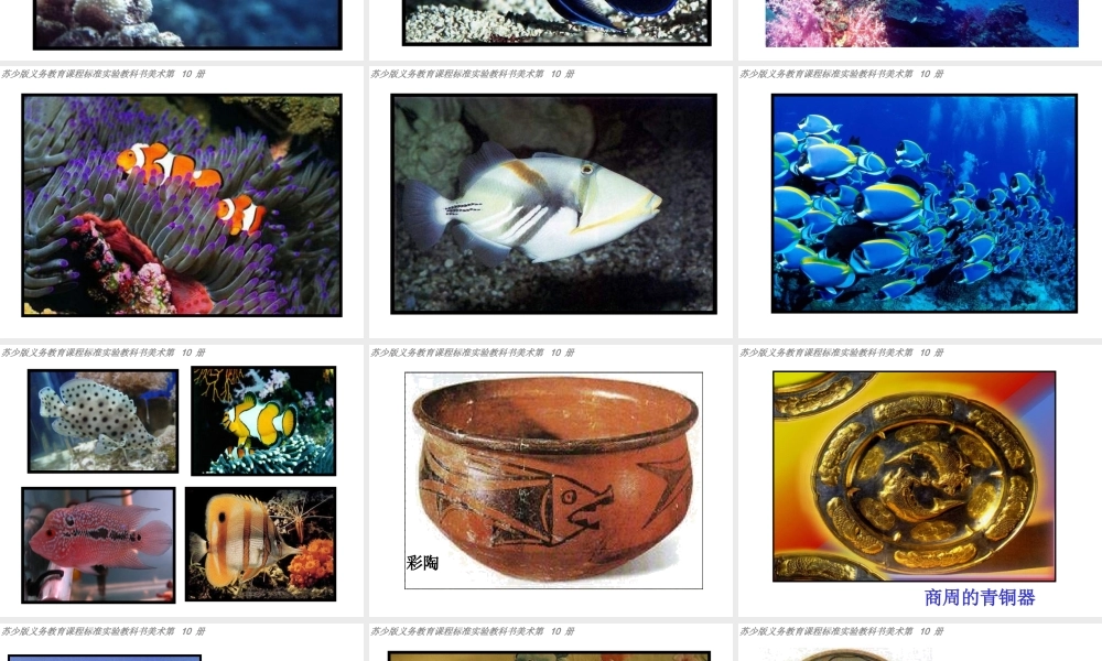 苏教小学美术四上《第9课鱼的纹样》PPT课件 (3) .ppt