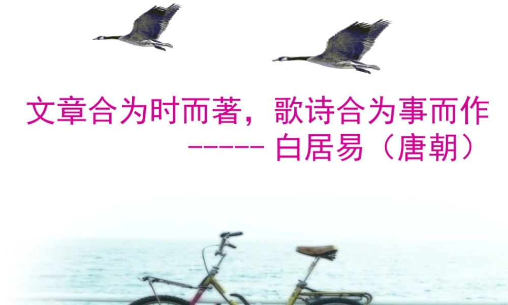 苏教小学美术四下《第11课对比的艺术》PPT课件.ppt