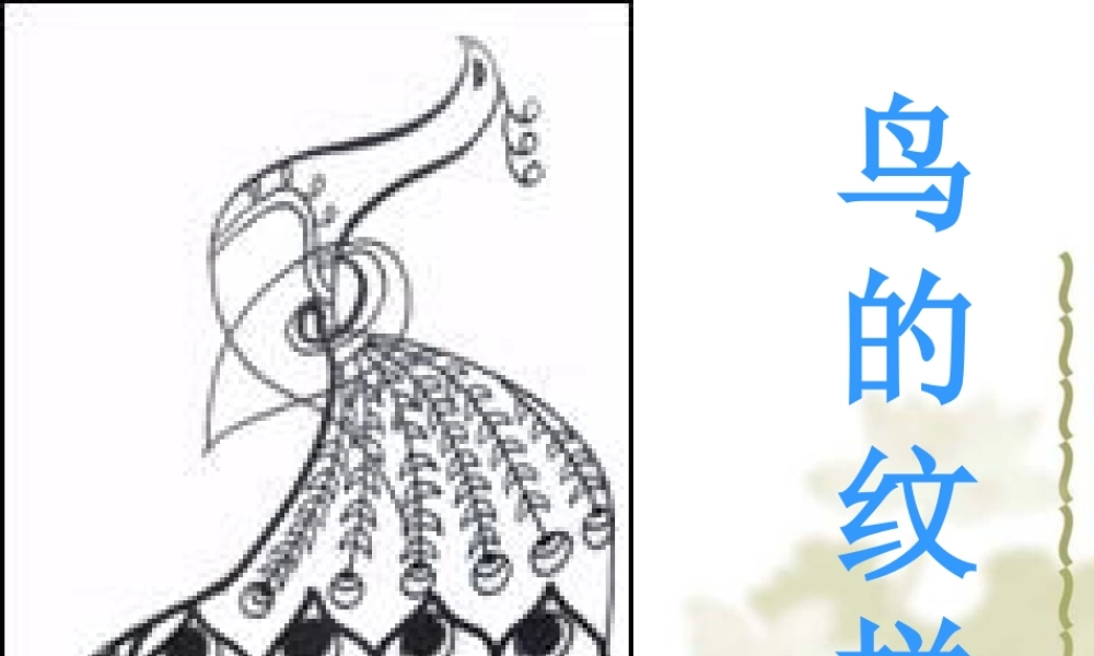 苏教小学美术四下《第8课鸟的纹样》PPT课件.ppt