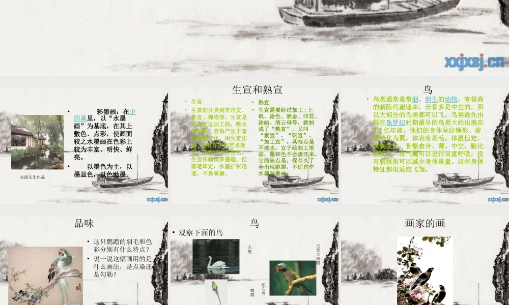 苏教小学美术四下《第9课水墨画鸟》PPT课件.ppt