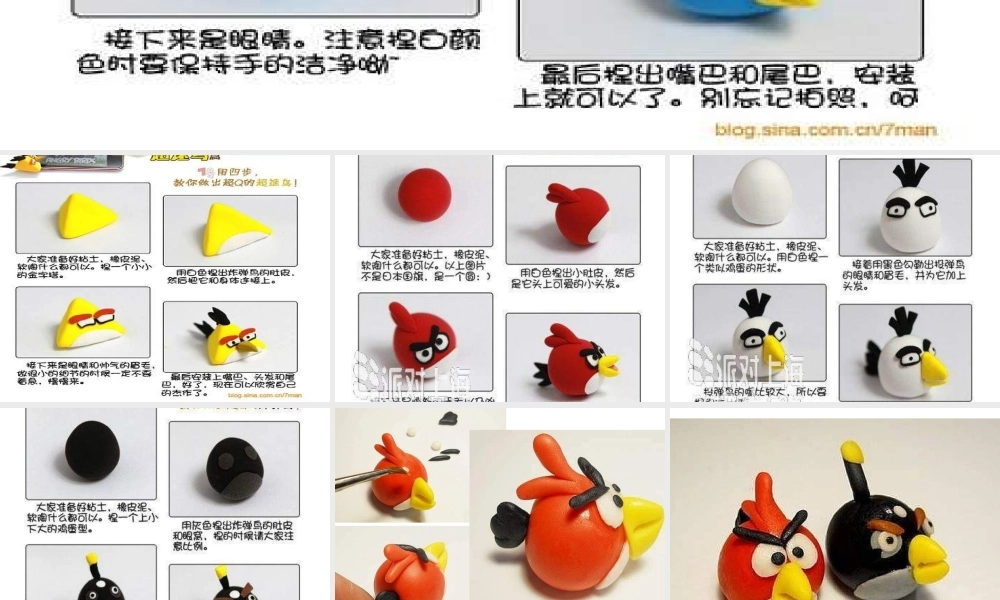 苏教小学美术四下《第6课鸟和家禽》PPT课件 (2).ppt