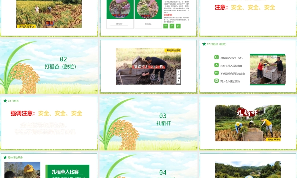 课时19028_活动11《辛勤耕耘迎丰收》第二课时-辛勤耕耘迎丰收(第二课时)】【虚拟宝库网www.xunibaoku.com】.pptx