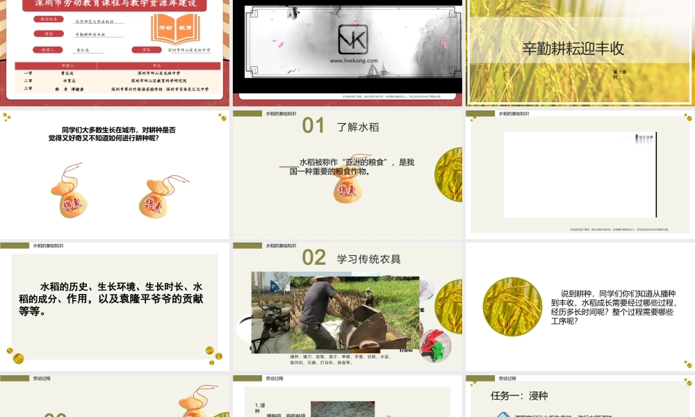 课时19026_活动11《辛勤耕耘迎丰收》第一课时-辛勤耕耘迎丰收】【虚拟宝库网www.xunibaoku.com】.pptx