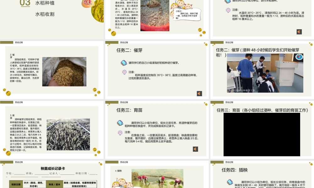 课时19026_活动11《辛勤耕耘迎丰收》第一课时-辛勤耕耘迎丰收】【虚拟宝库网www.xunibaoku.com】.pptx