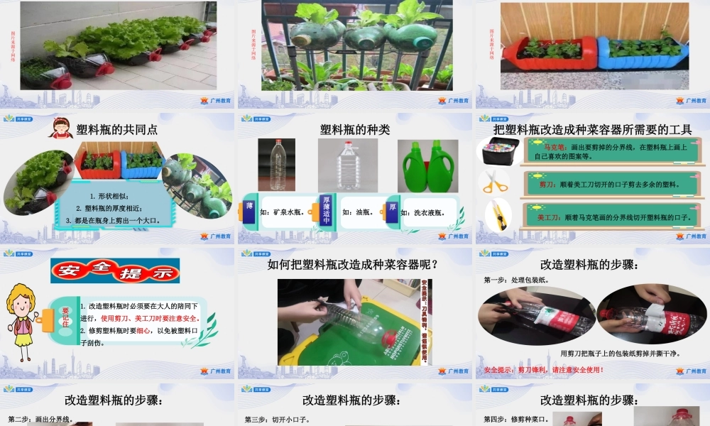 课时19_第六单元_第3课时 阳台种植有技巧-课件.pptx