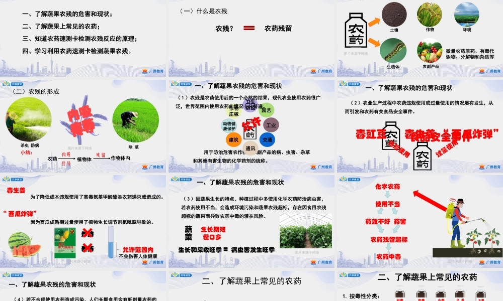 课时25_第四单元 土壤污染要防治_第2课时 蔬果农残来检测-课件【虚拟宝库网www.xunibaoku.com】.pptx