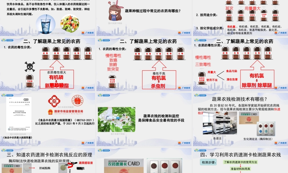 课时25_第四单元 土壤污染要防治_第2课时 蔬果农残来检测-课件【虚拟宝库网www.xunibaoku.com】.pptx