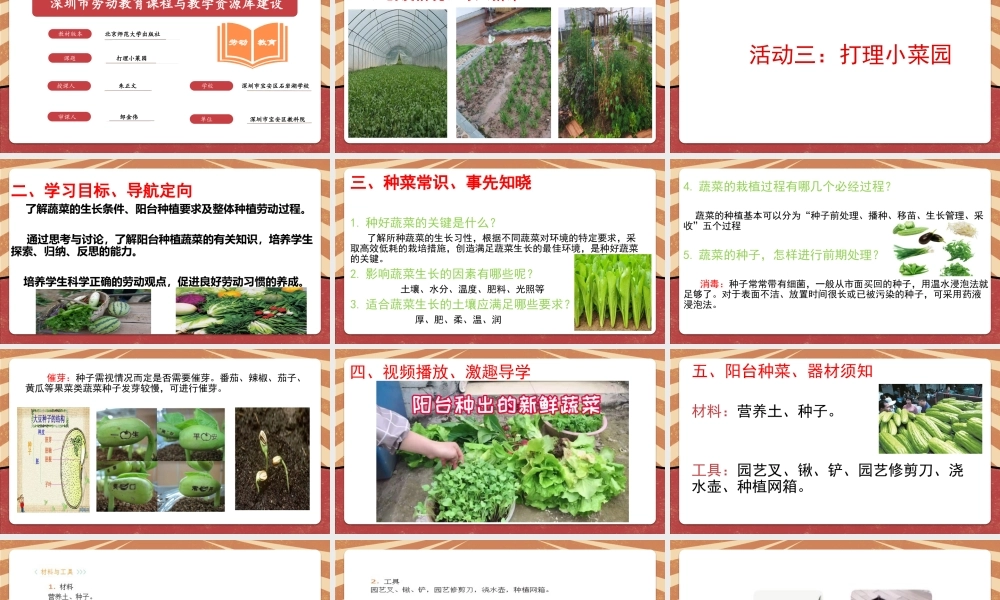 课时6551_《打理小菜园》-《打理小菜园》教学课件——石岩湖学校朱正文】【虚拟宝库网www.xunibaoku.com】.pptx