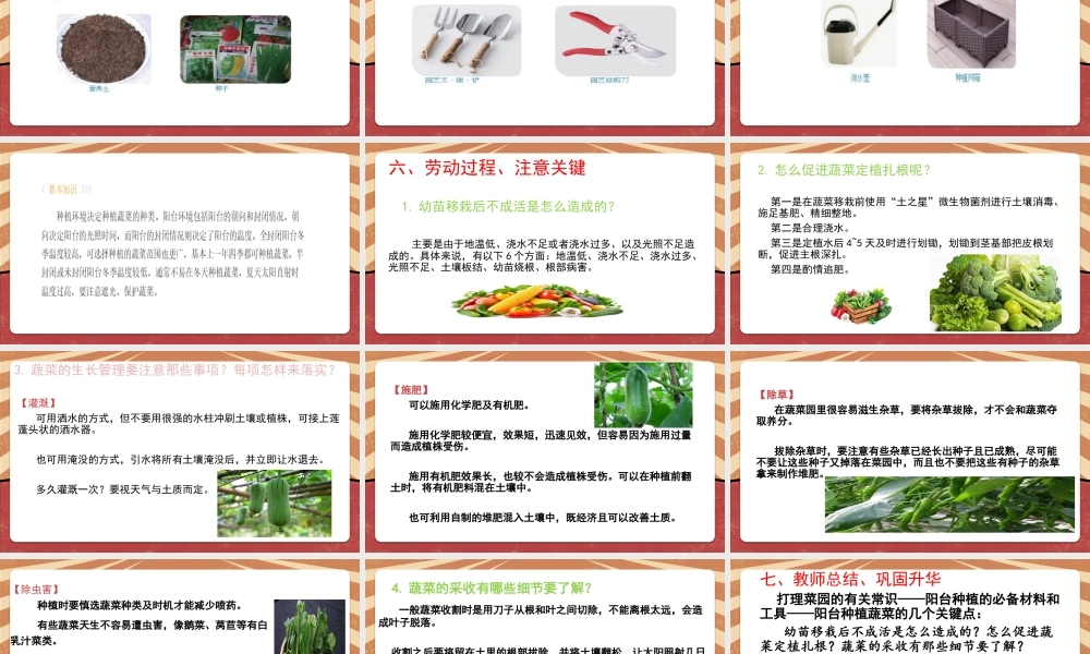 课时6551_《打理小菜园》-《打理小菜园》教学课件——石岩湖学校朱正文】【虚拟宝库网www.xunibaoku.com】.pptx