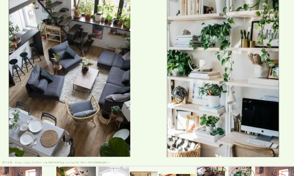 课时9_全部课程_第1课时：家居绿化我做主-课件【虚拟宝库网www.xunibaoku.com】.pptx