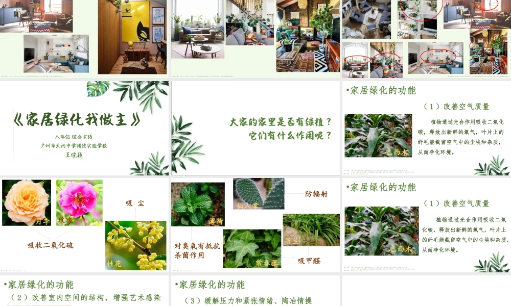课时9_全部课程_第1课时：家居绿化我做主-课件【虚拟宝库网www.xunibaoku.com】.pptx