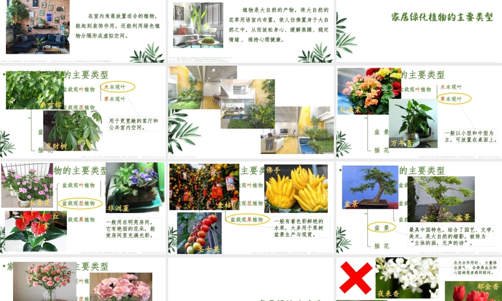 课时9_全部课程_第1课时：家居绿化我做主-课件【虚拟宝库网www.xunibaoku.com】.pptx