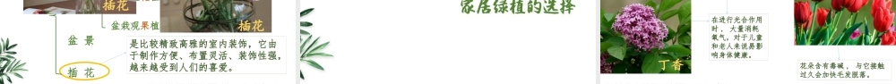 课时9_全部课程_第1课时：家居绿化我做主-课件【虚拟宝库网www.xunibaoku.com】.pptx